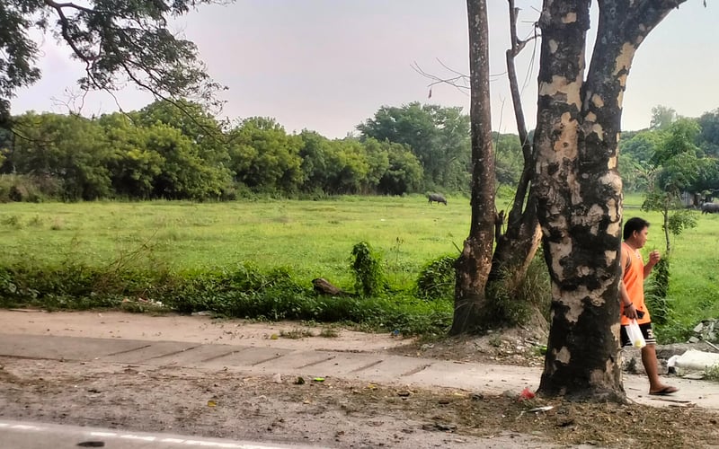 2-Hectare Prime Property for Sale Along National Highway – Sta. Rita, Pampanga
