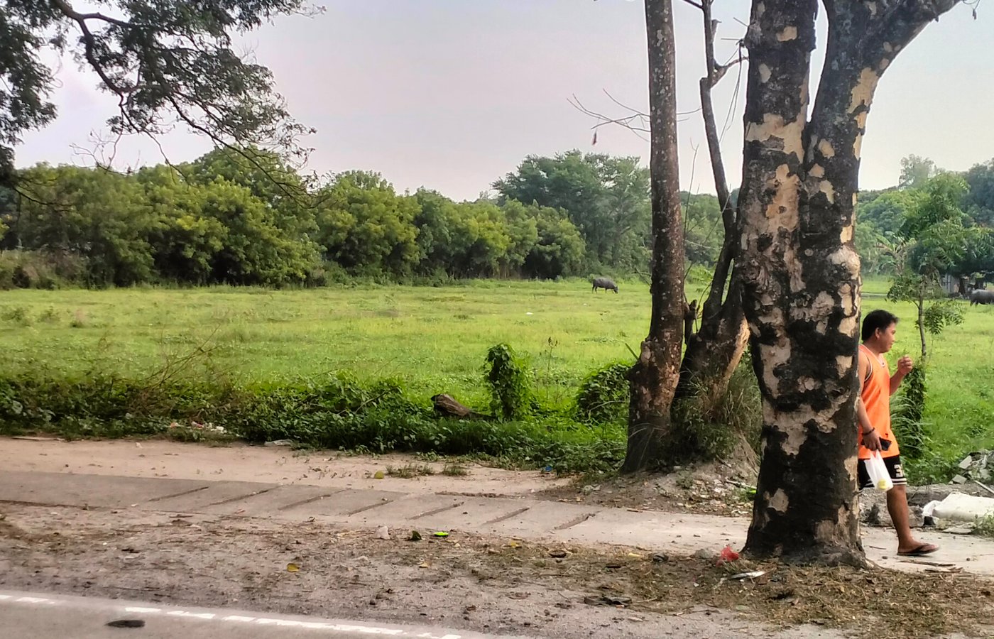 2-Hectare Prime Property for Sale Along National Highway – Sta. Rita, Pampanga