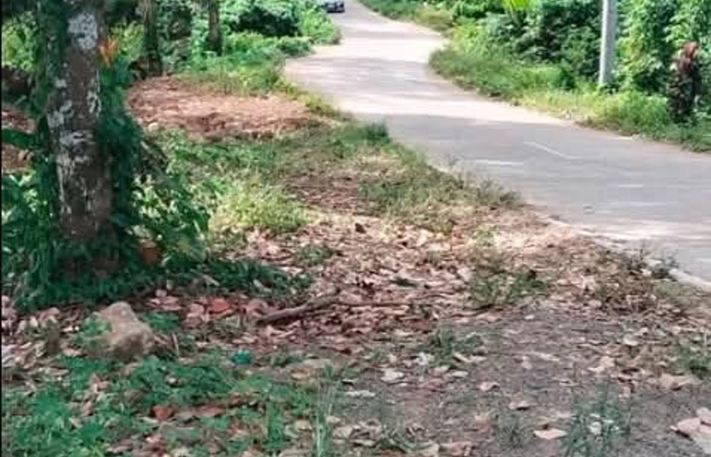 Commercial lot For Sale