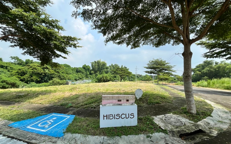 Prime 345 sqm Corner Lot for Sale in Racha Mansions, South Forbes (Near Nuvali)