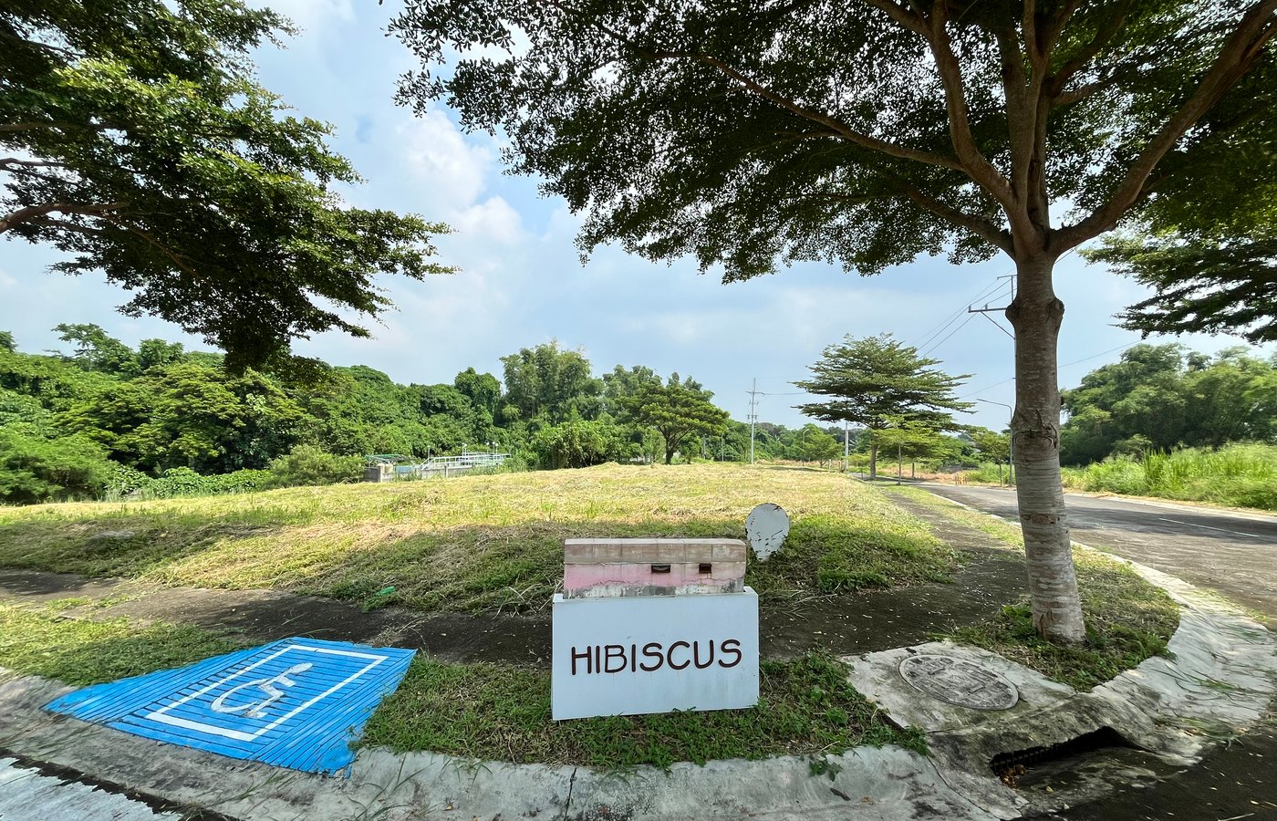 Photo 1 of 10 — Residential lot for sale, Racha Mansions, South Forbes, Silang