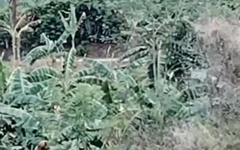 RUSH SALE — 5,799 SQM PROPERTY IN ANOLING, CANDIJAY, BOHOL
