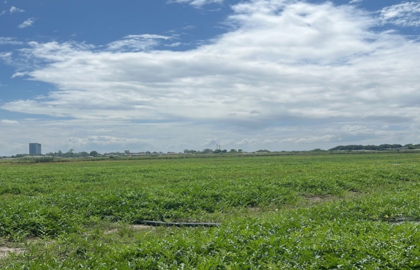 Photo 1 of 6 — Agricultural lot for sale, Mexico