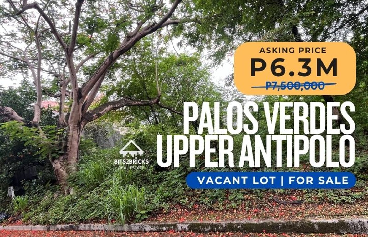 PRIME 290+ Residential Lot for sale in Palos Verdes Executive VIllage, Sumulong Highway (Upper Antipolo)