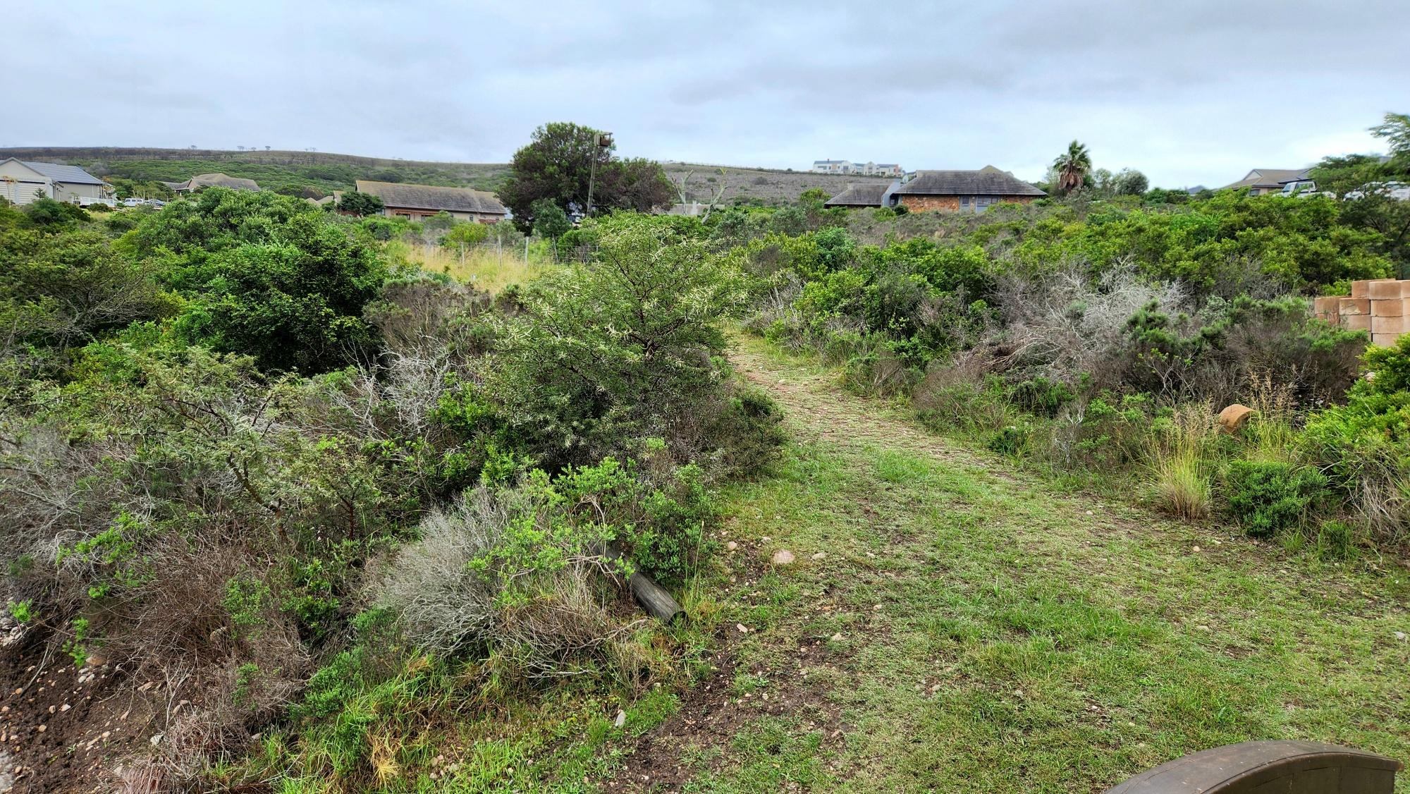 Image 12