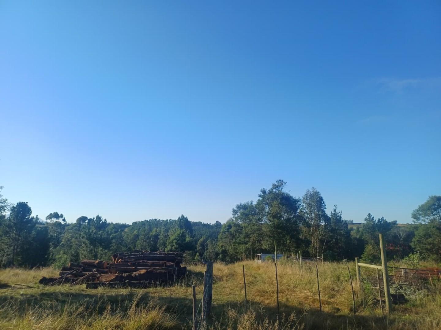 Image 5 of 6