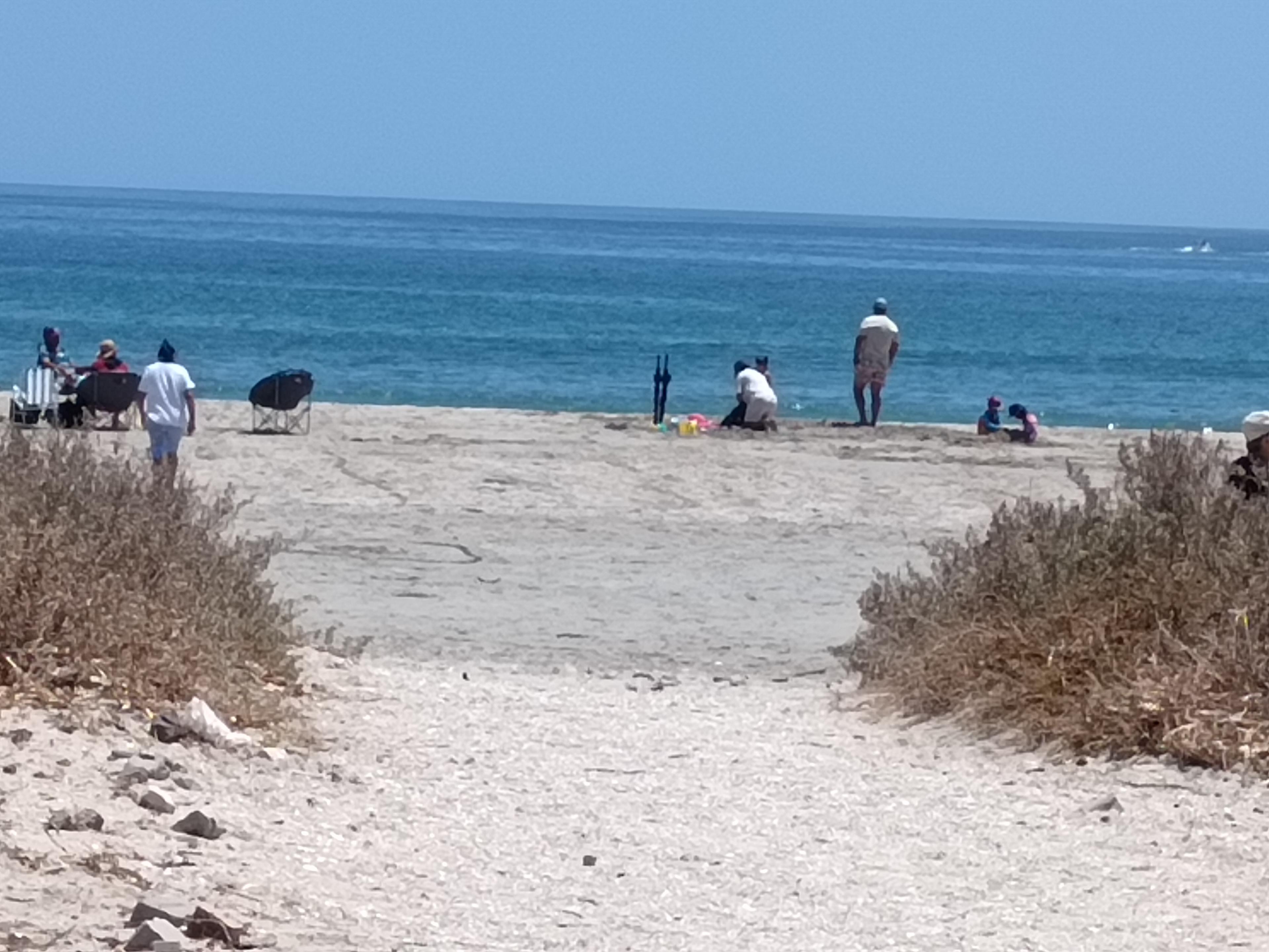 Image 12