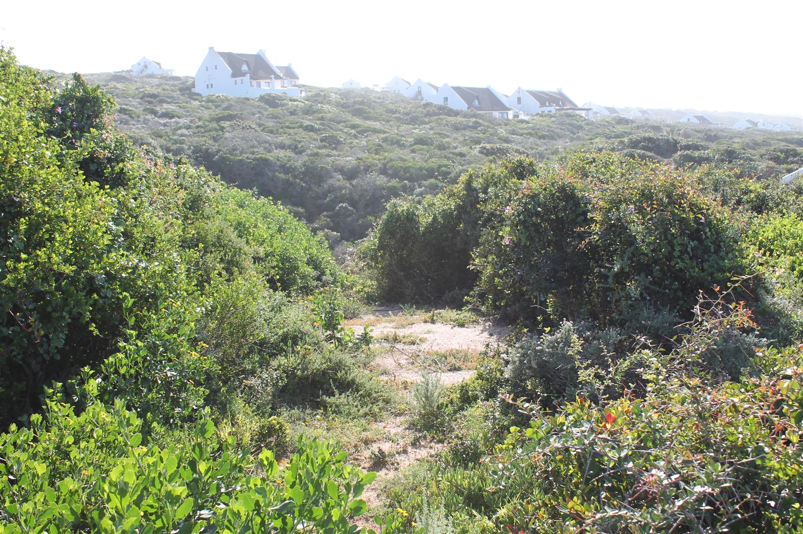 Image 15