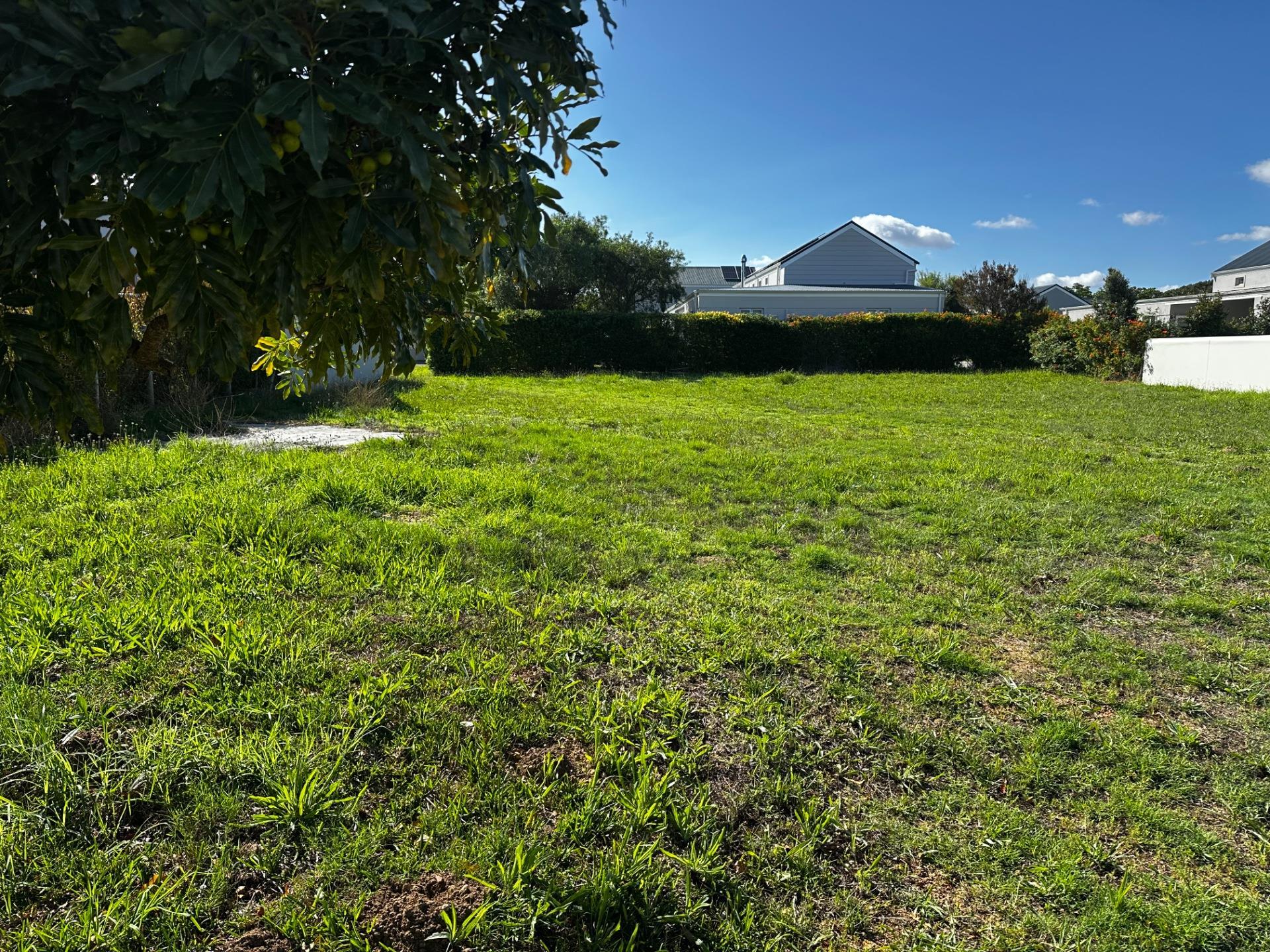 Image 3 of 6