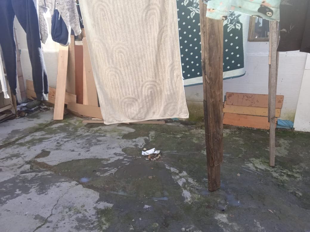 Image 5 of 6
