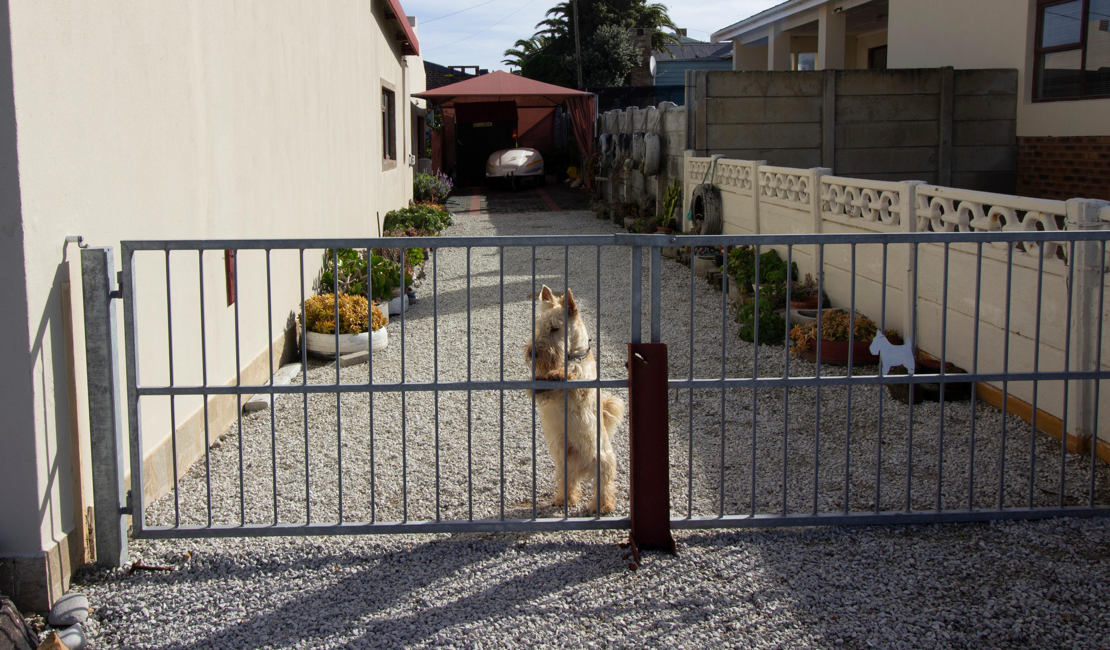 Image 7