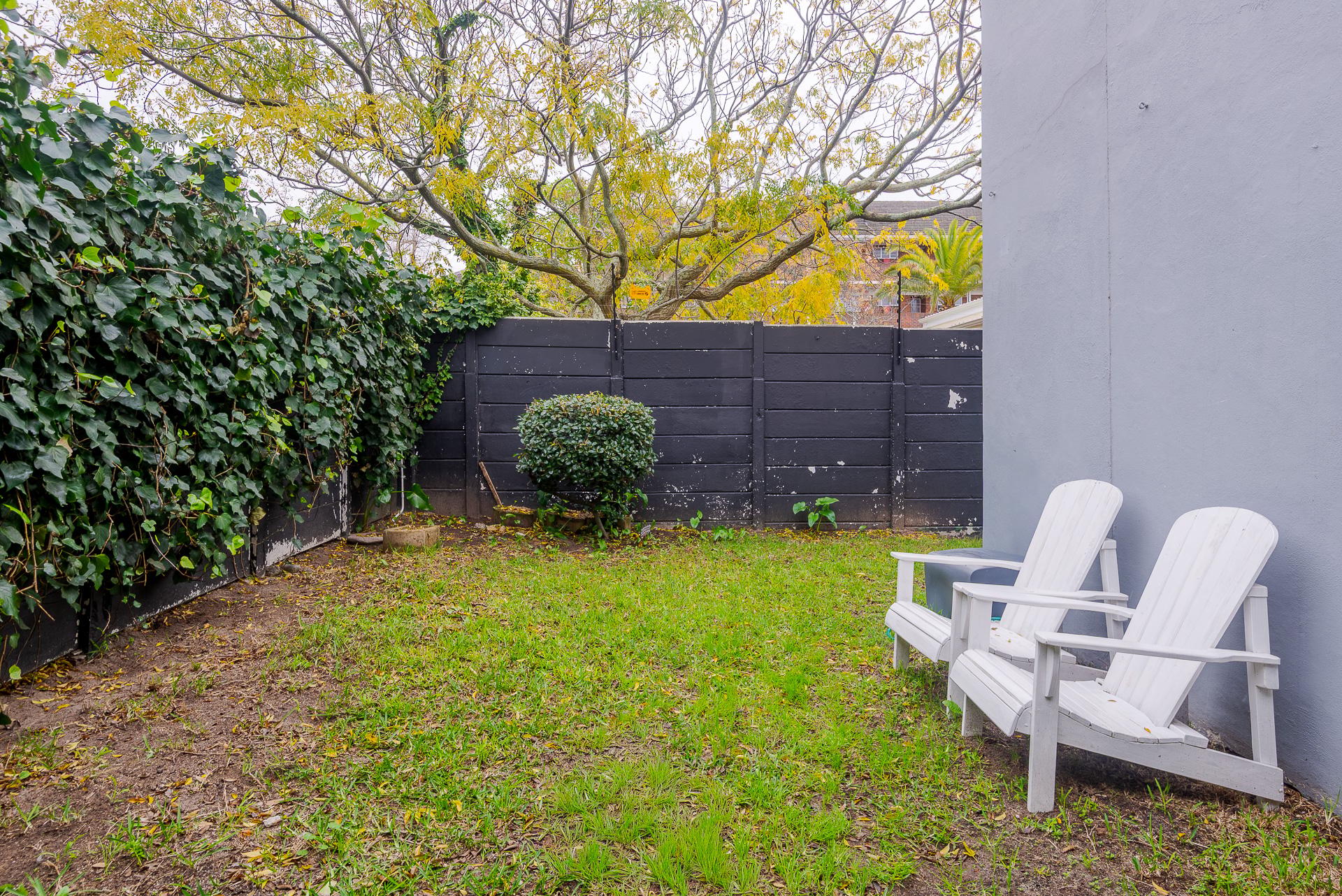 Image 25