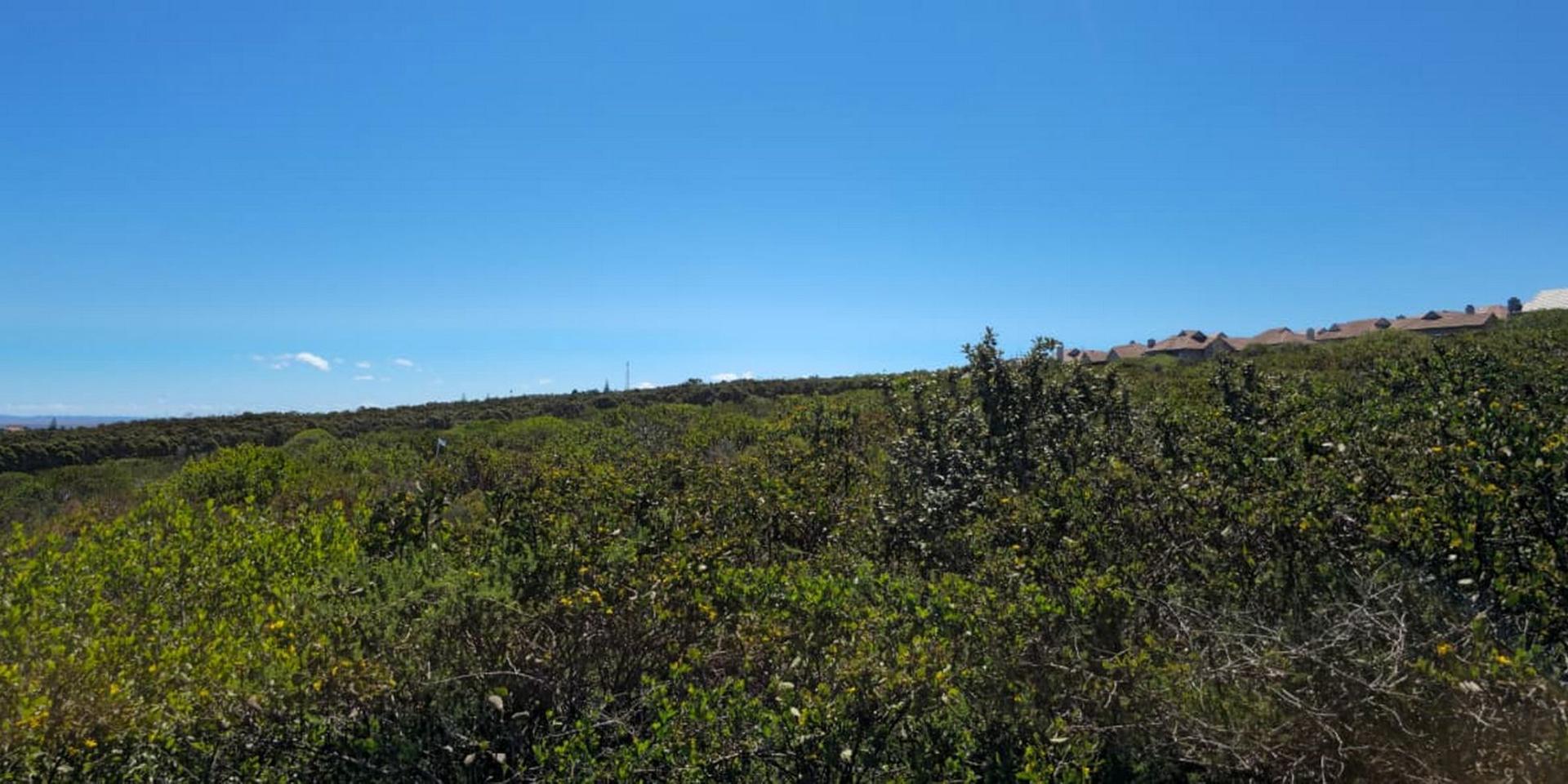 Image 5 of 6