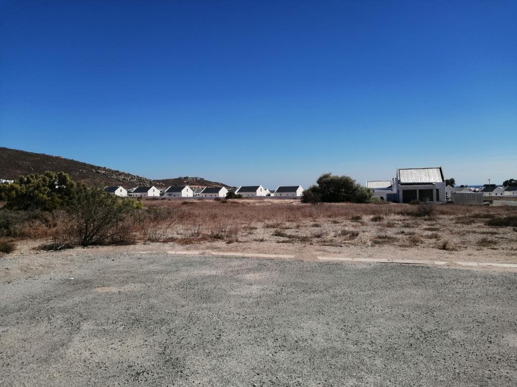 Image 4 of 6