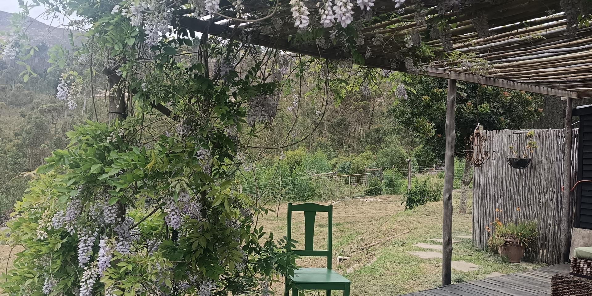 Image 4 of 6