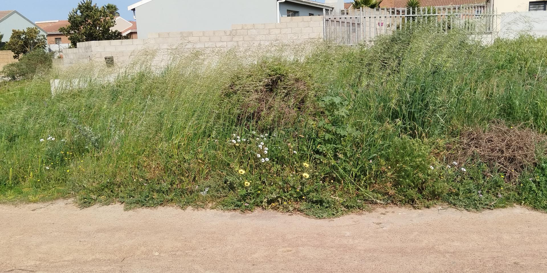 Image 4 of 6