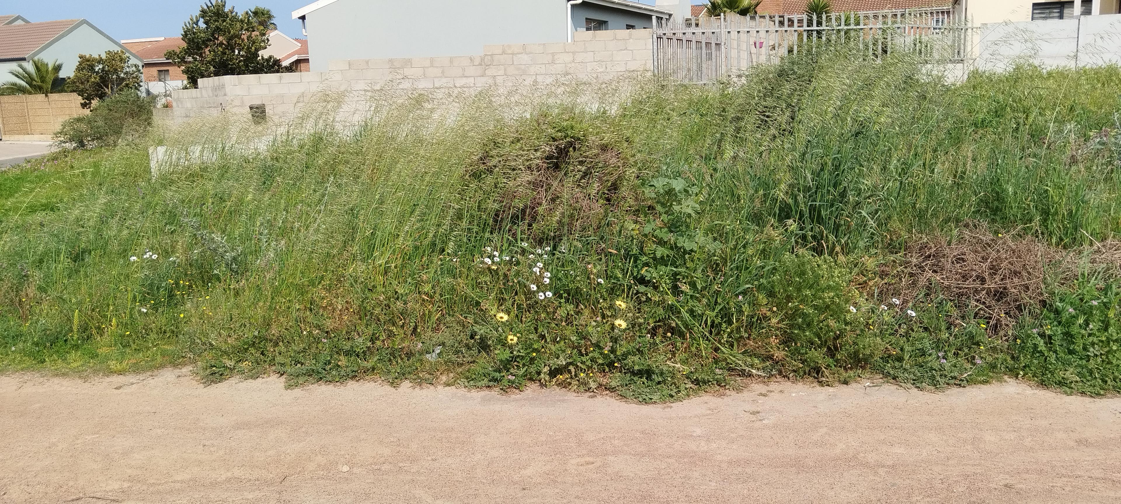 Image 4 of 6