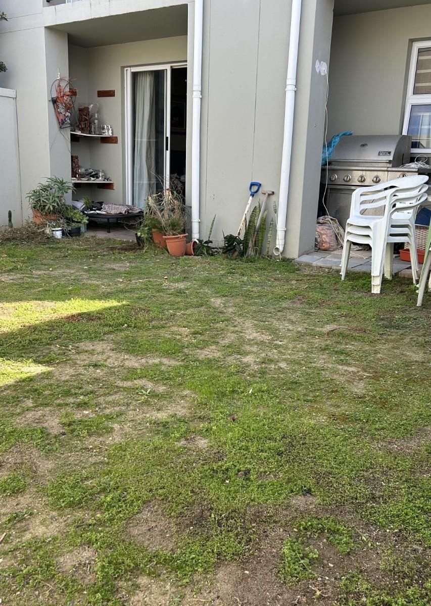 Image 14