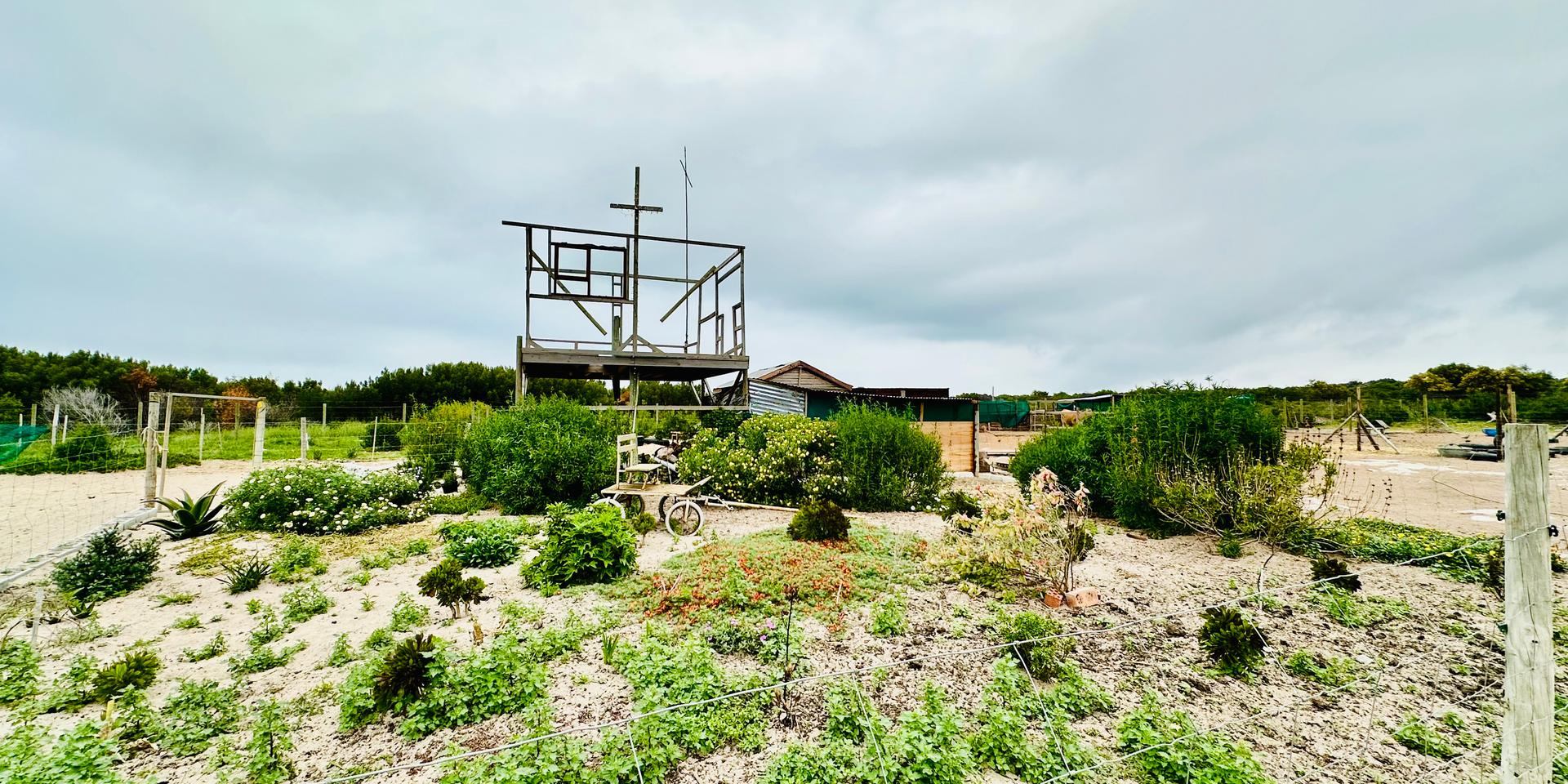 Image 1 of 6