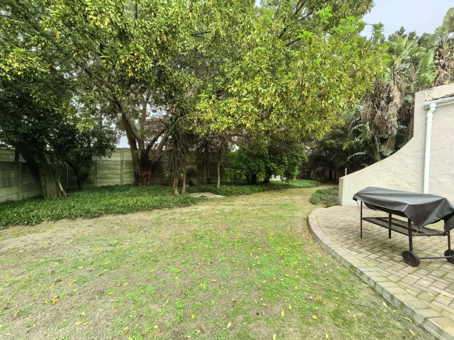 Image 13