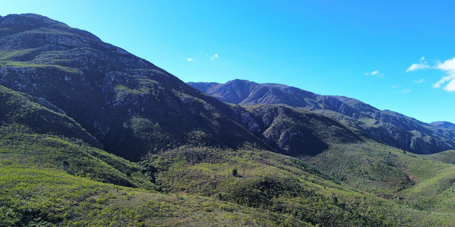 Image 5 of 6