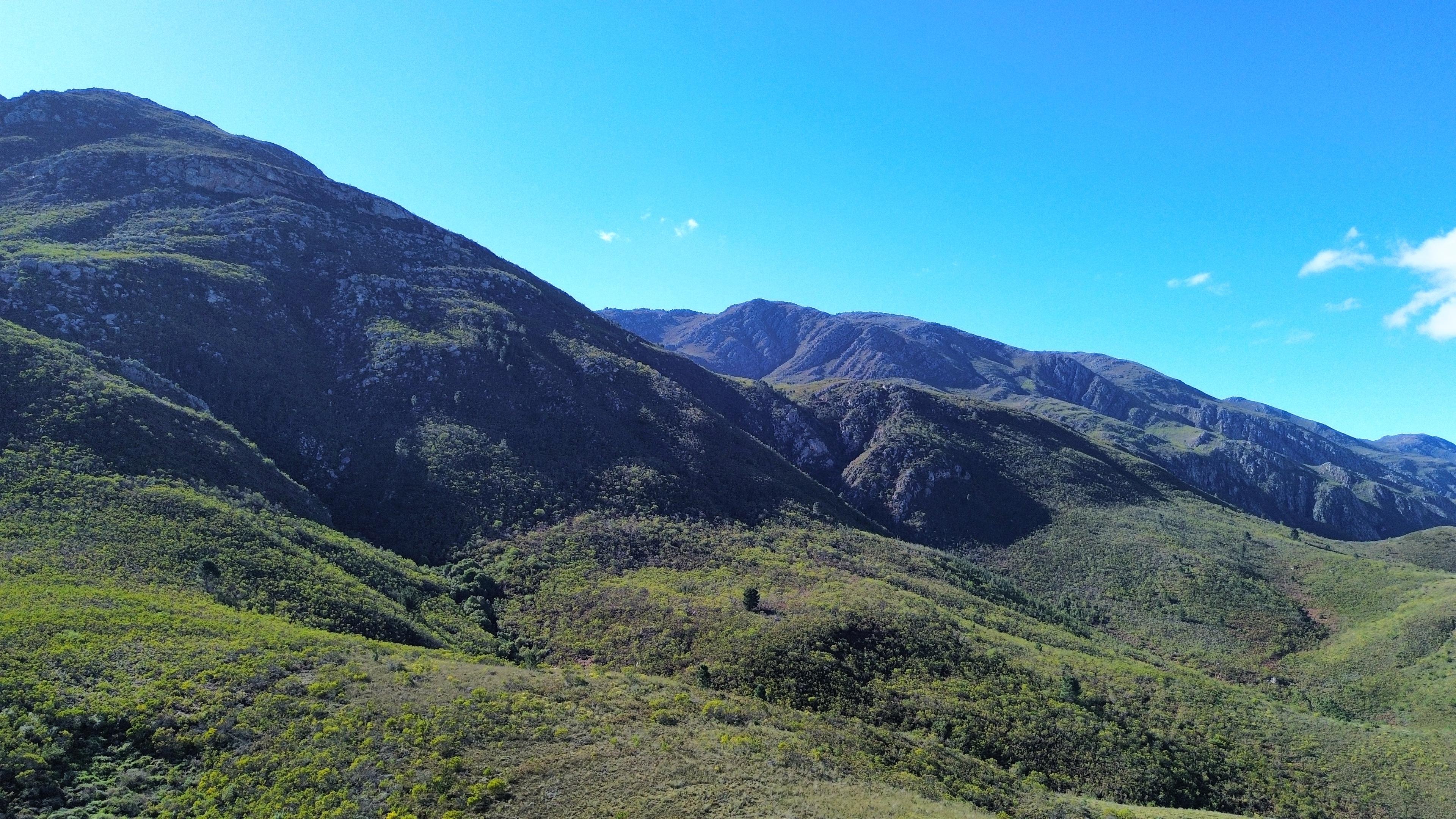 Image 5 of 6