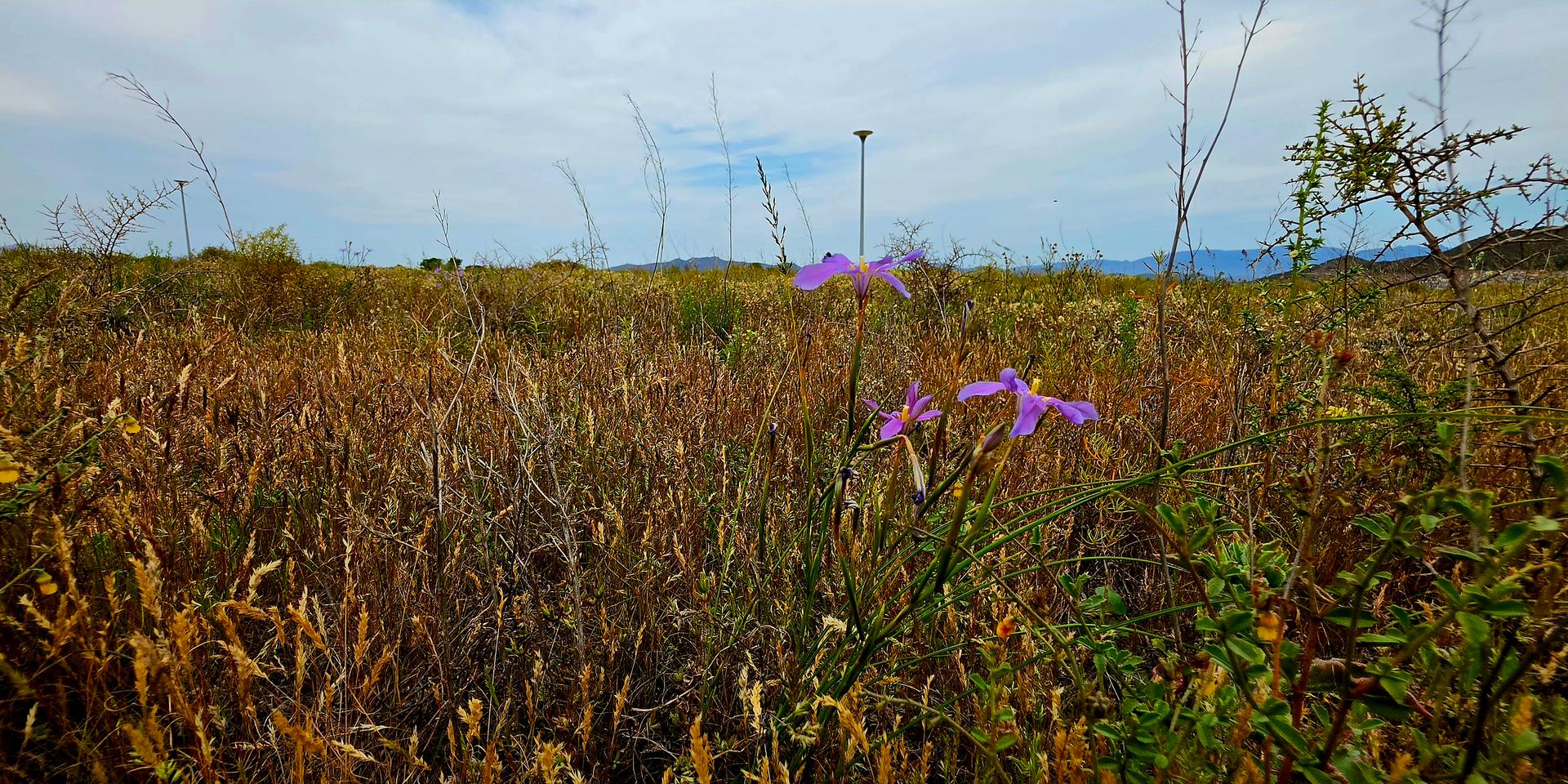 Image 5 of 6