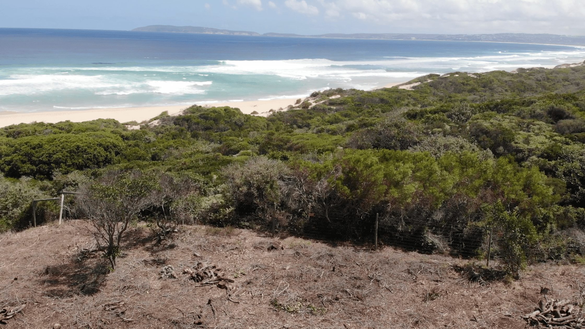 Image 5 of 6