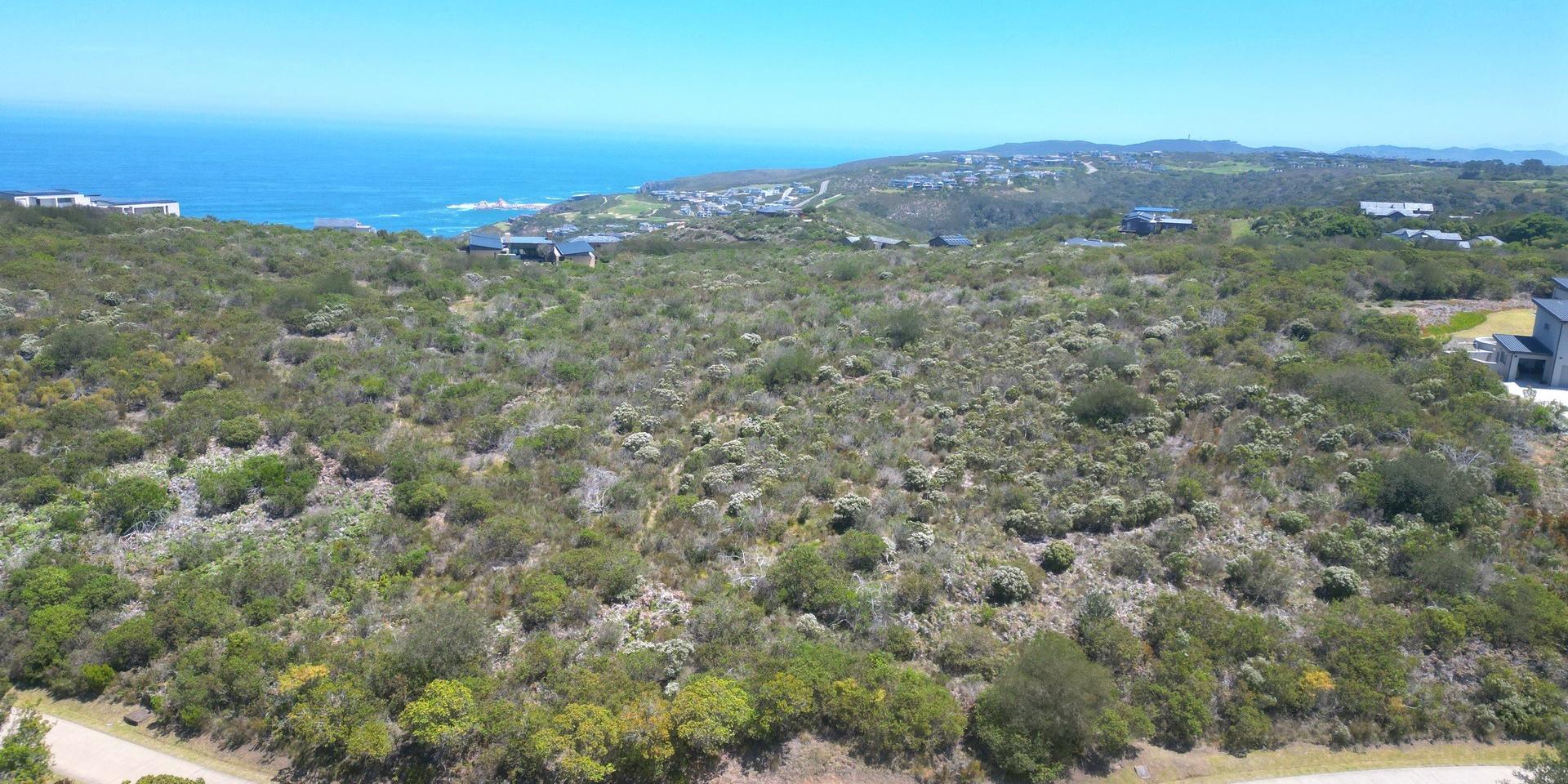Image 3 of 6