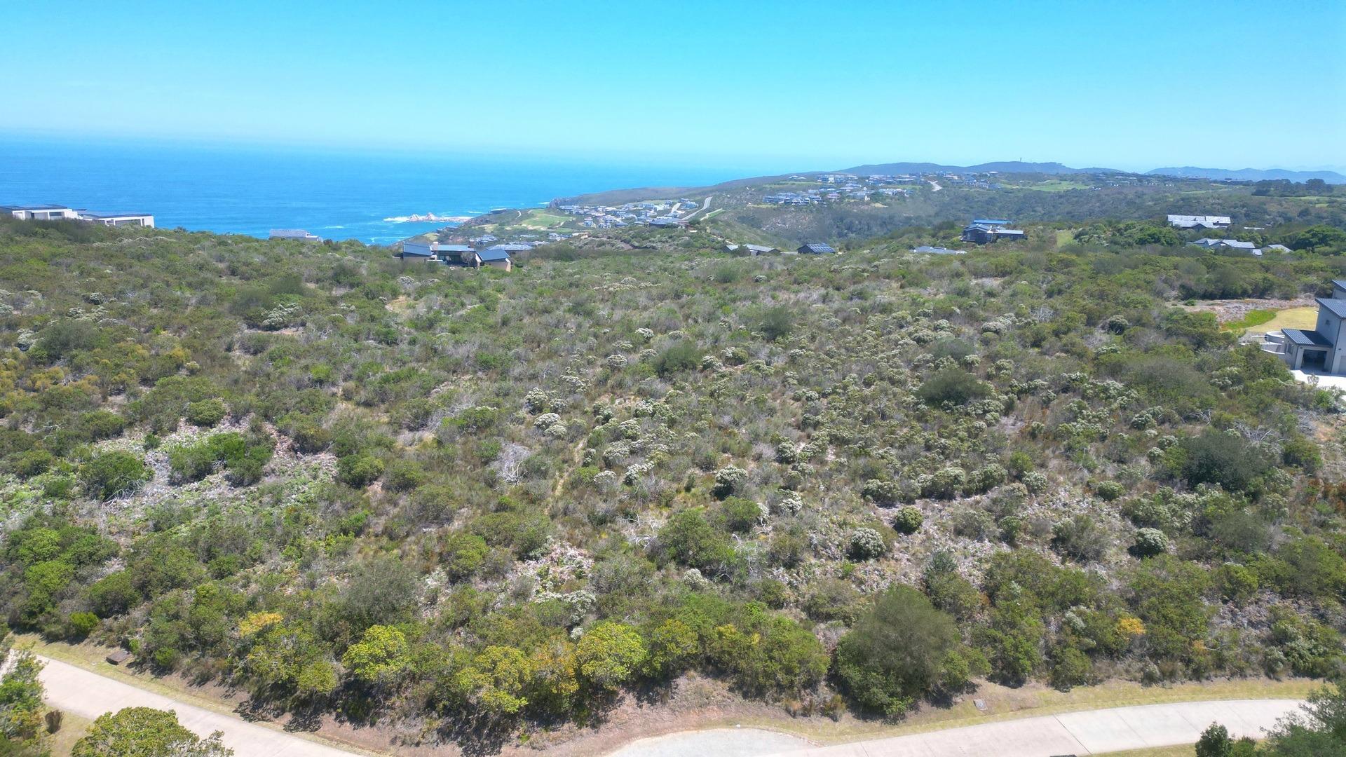 Image 3 of 6