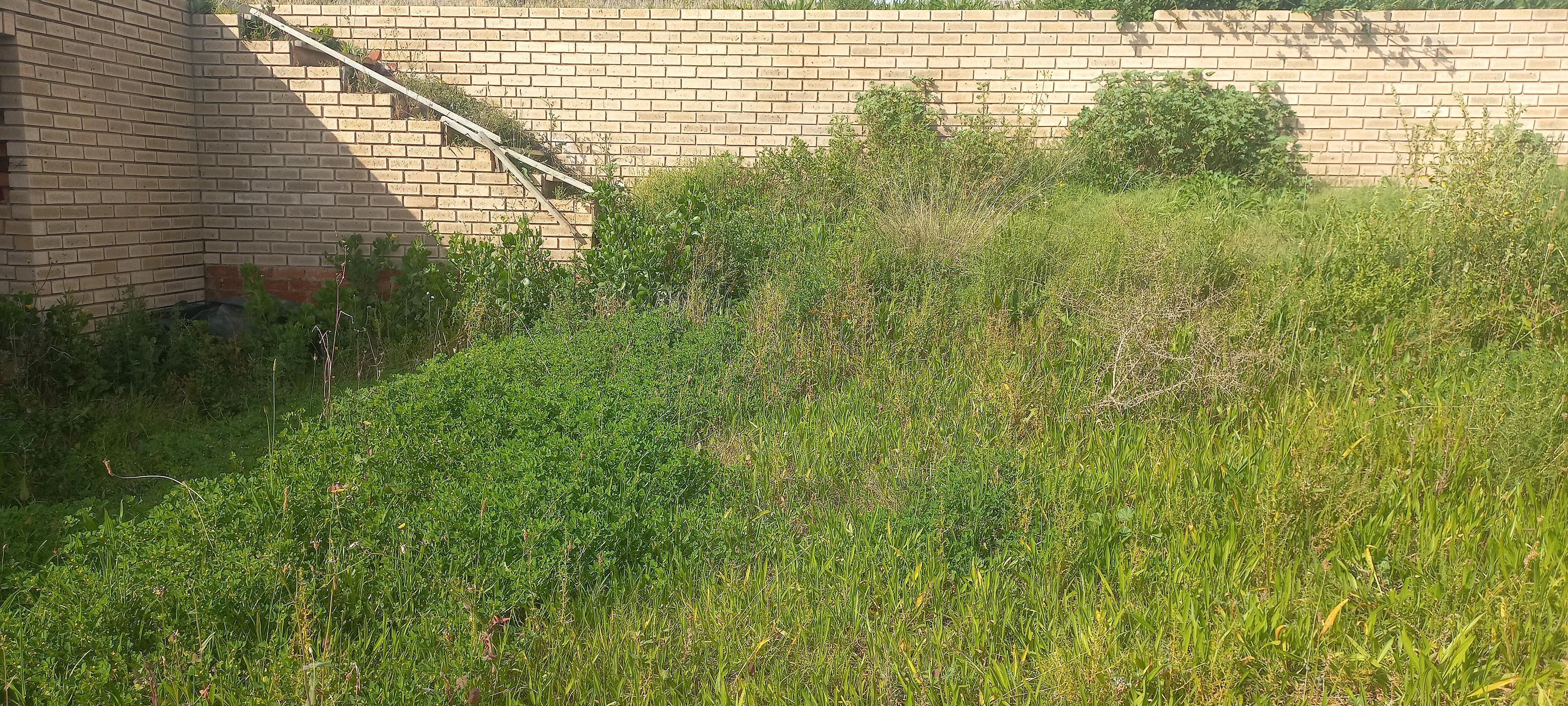 Image 15