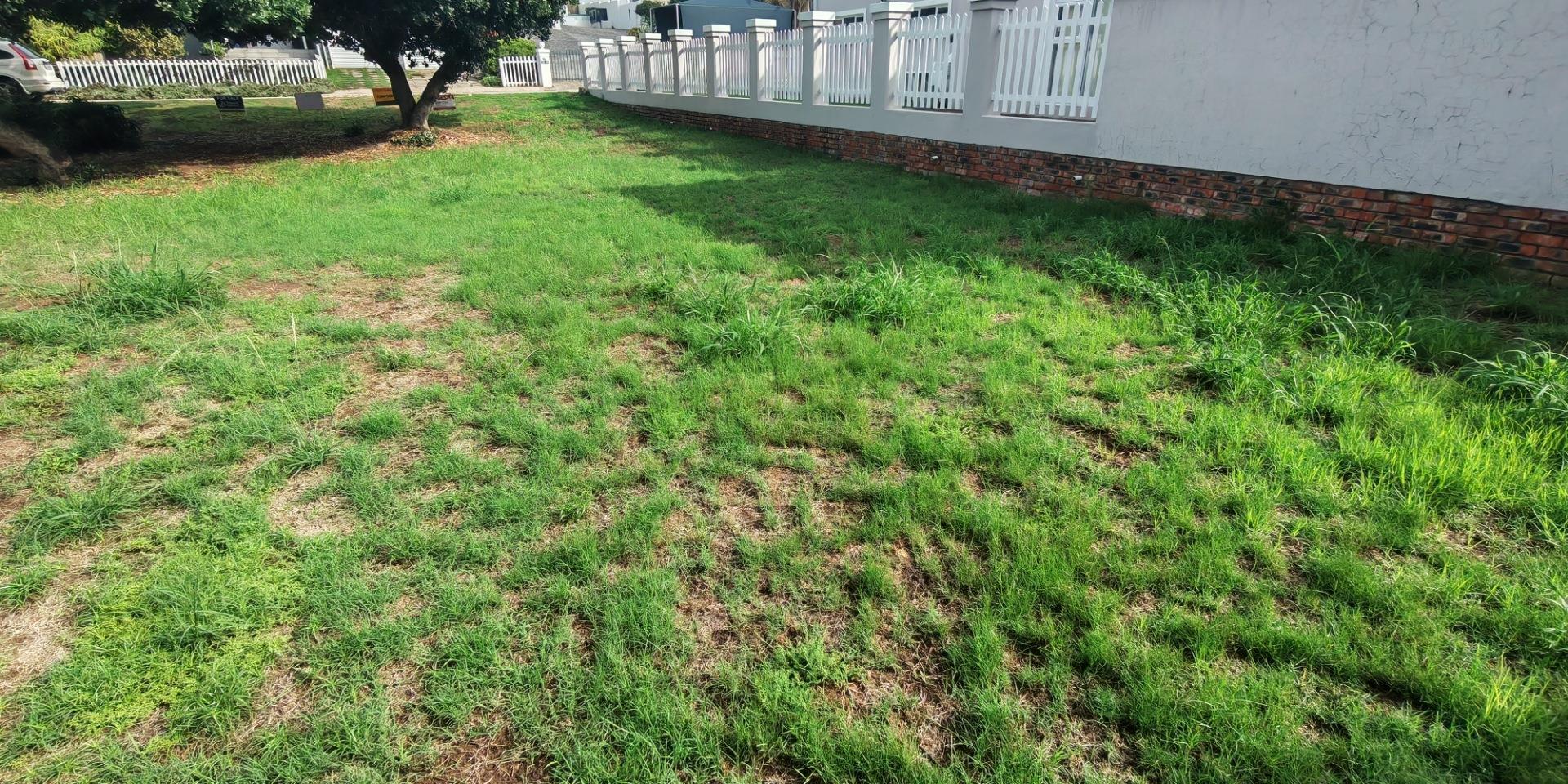 Image 2 of 6