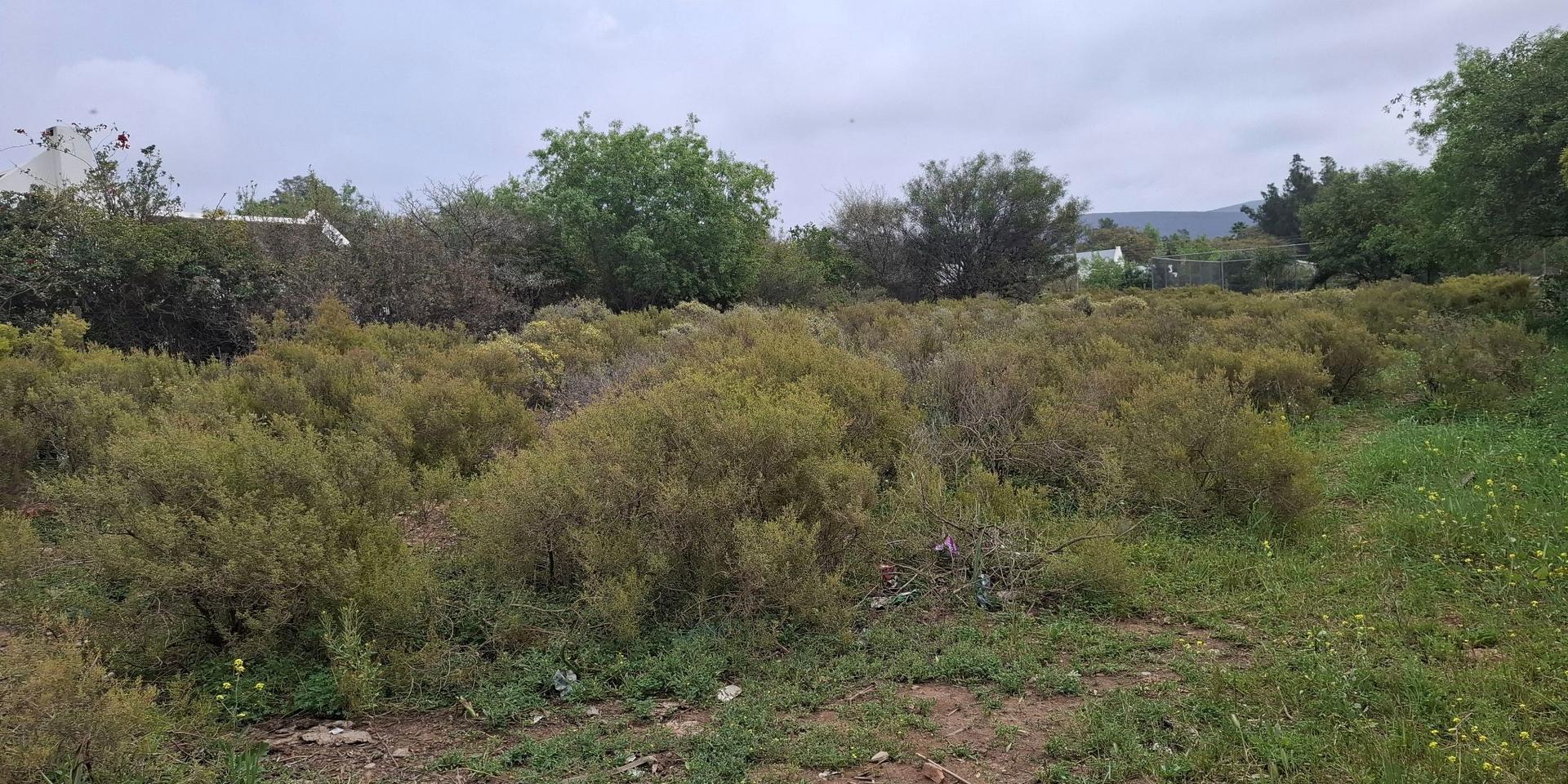 Image 2 of 6