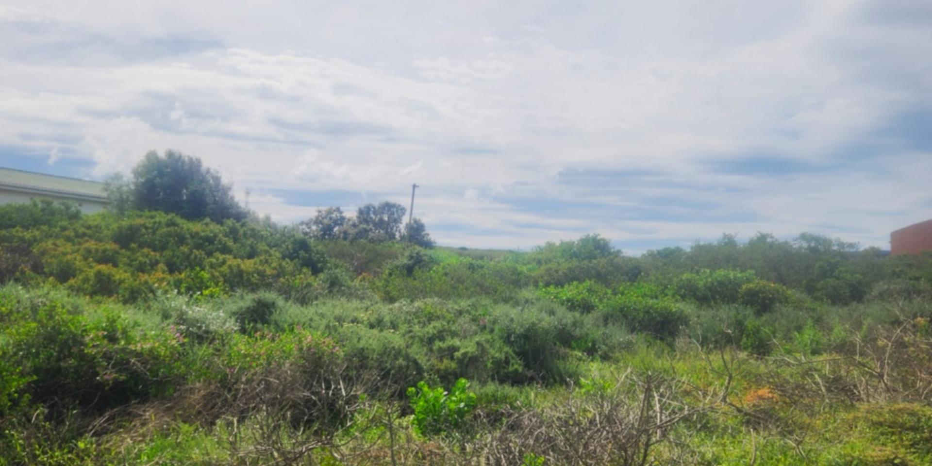 Image 5 of 6