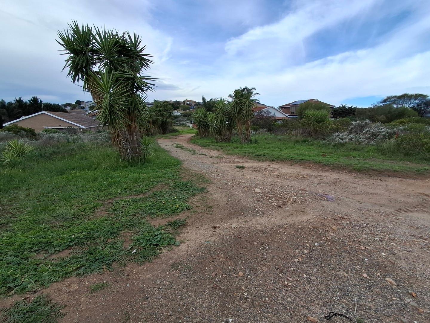 Image 2 of 6