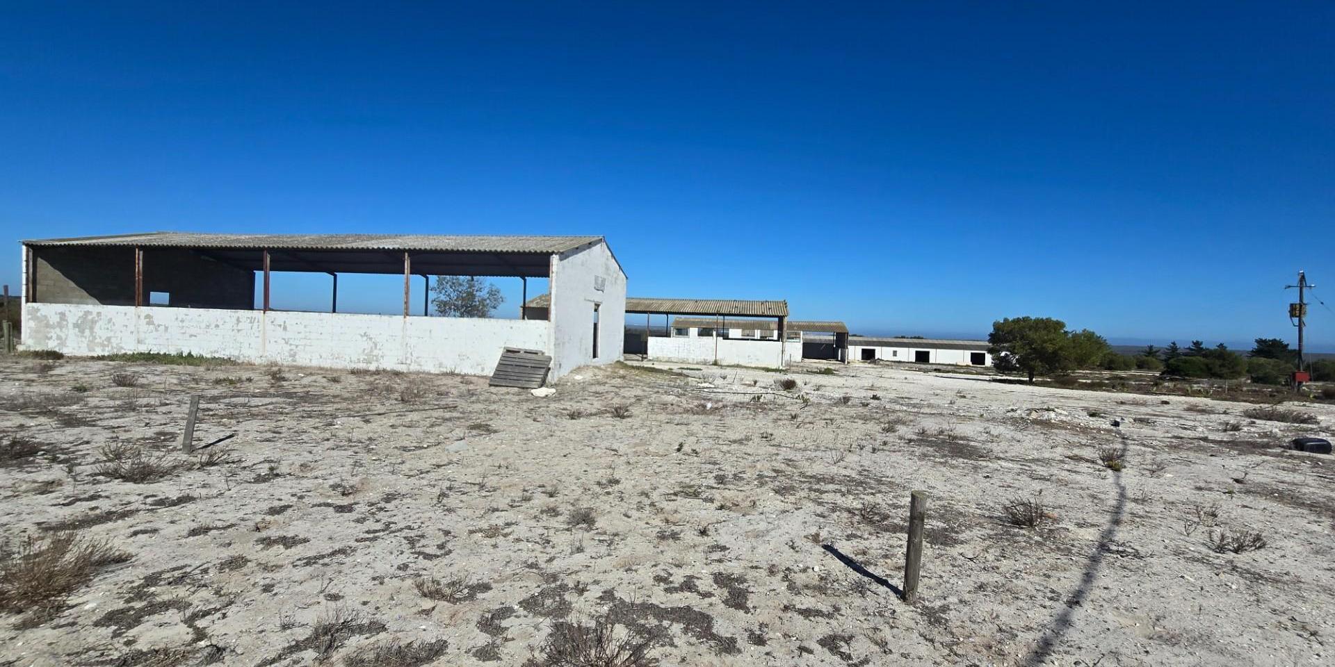 Image 4 of 6