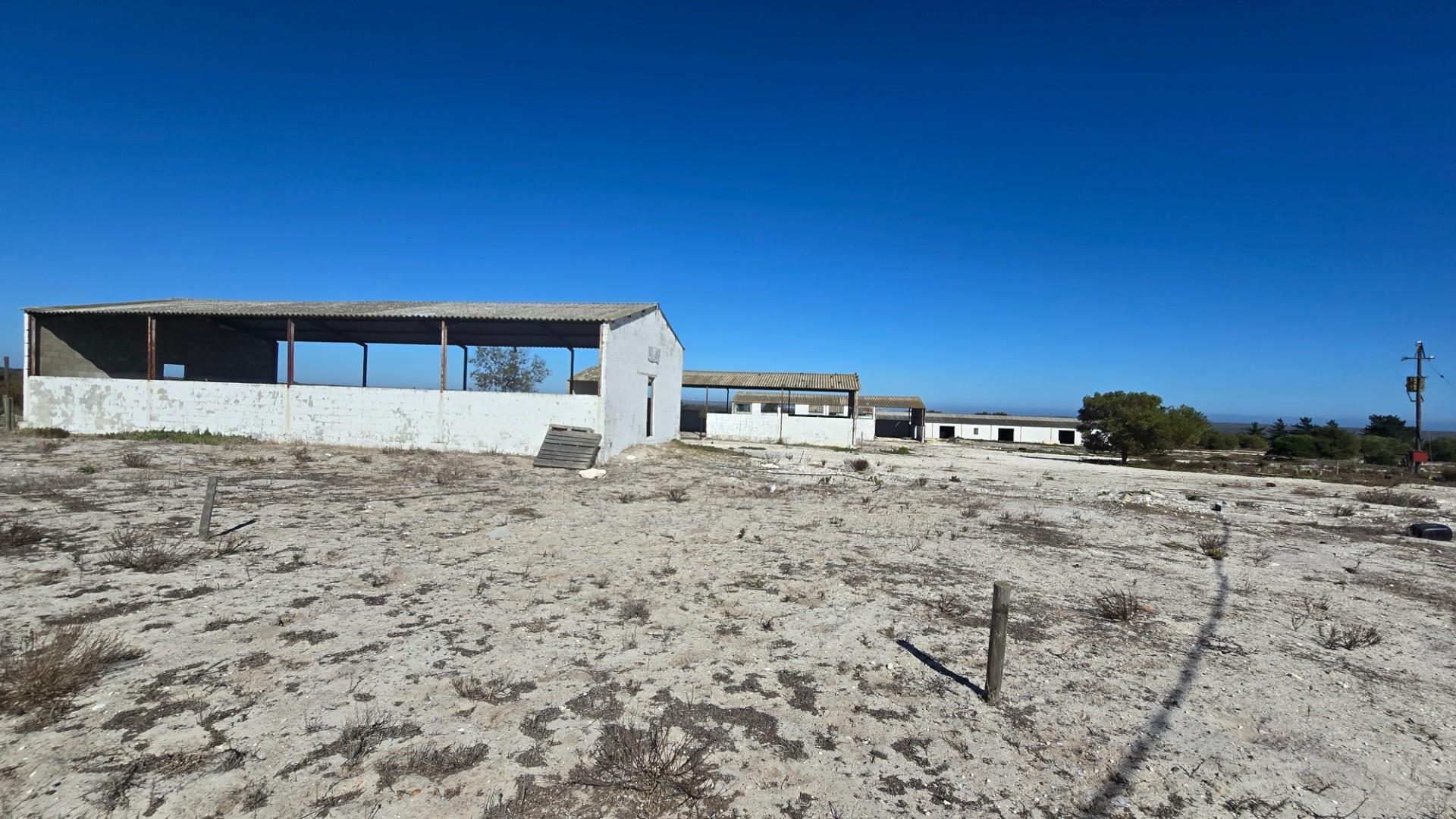 Image 4 of 6
