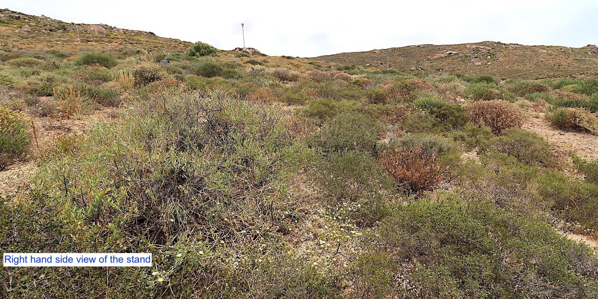 Image 4 of 6