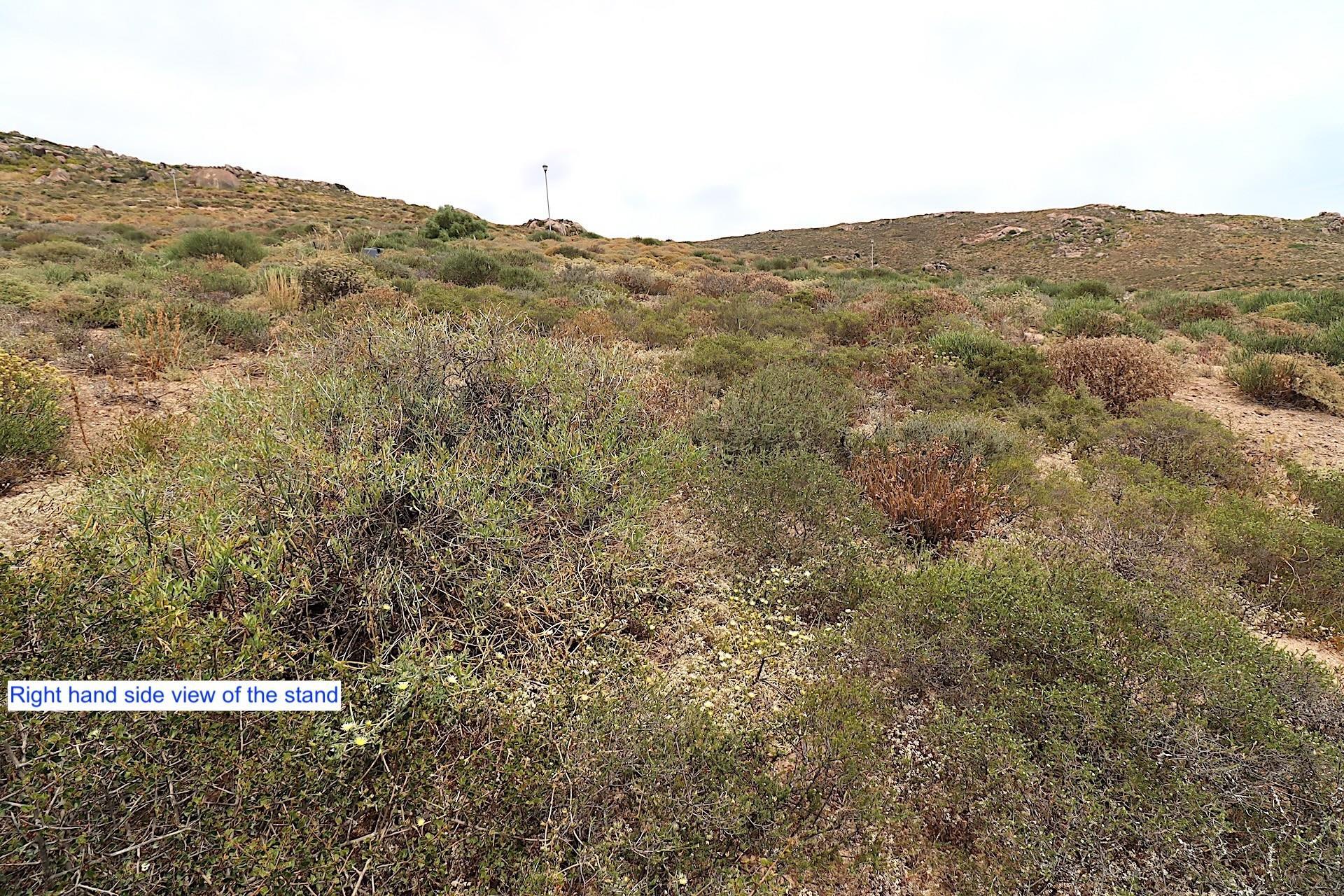Image 4 of 6