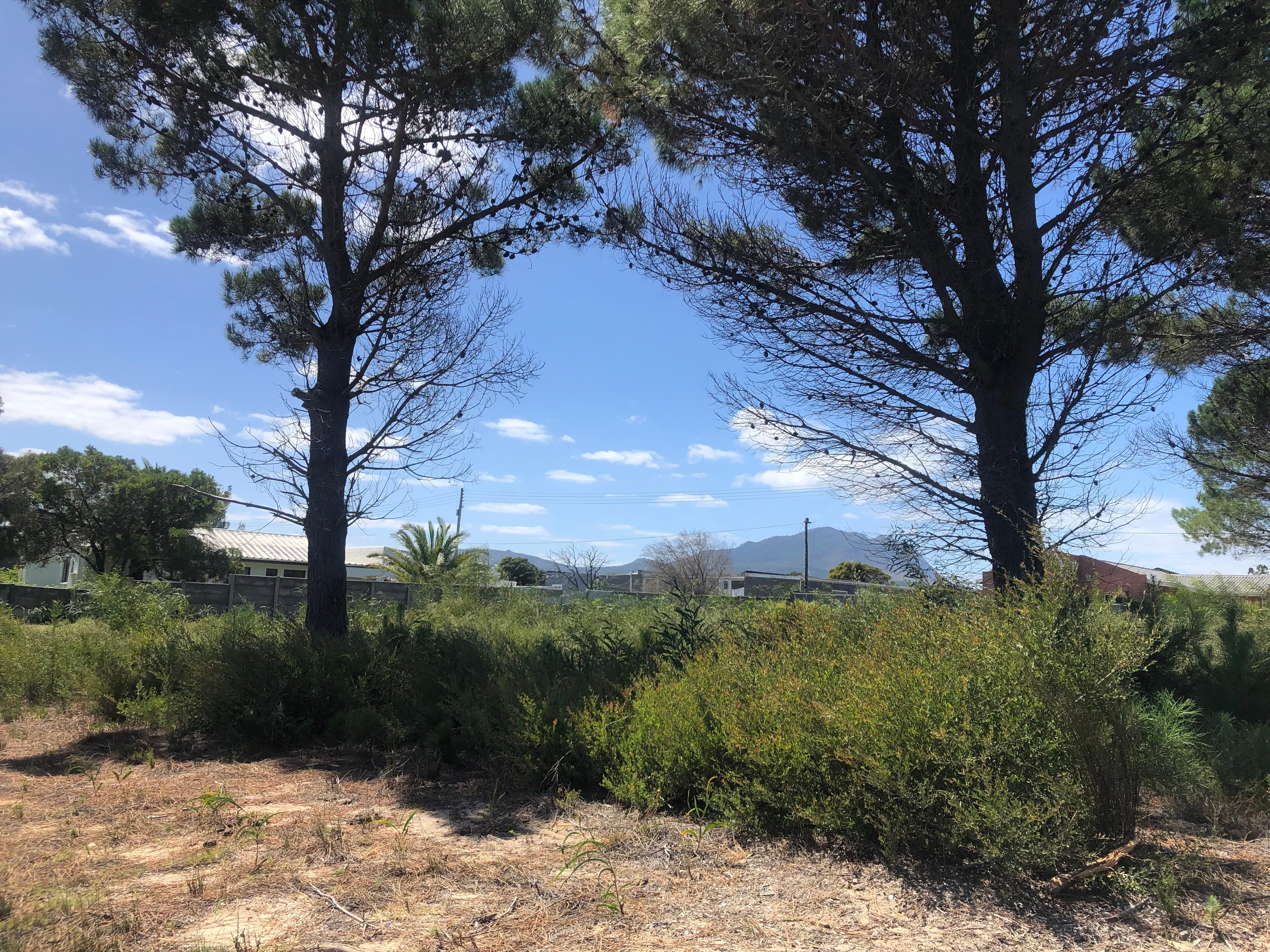 Image 4 of 6