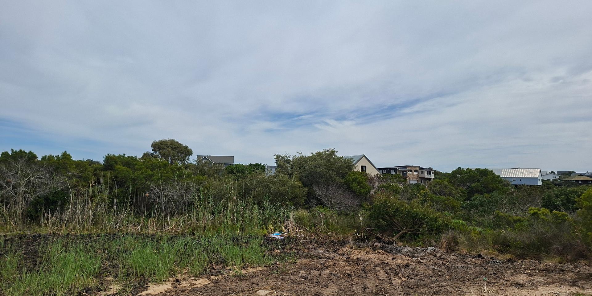 Image 5 of 6