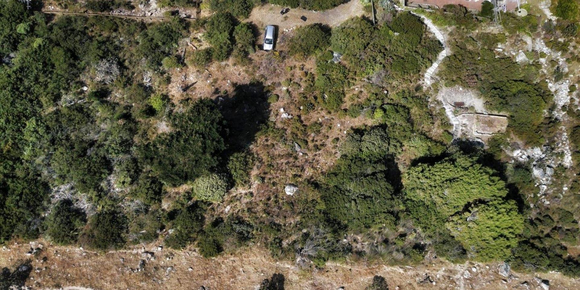 Image 4 of 6