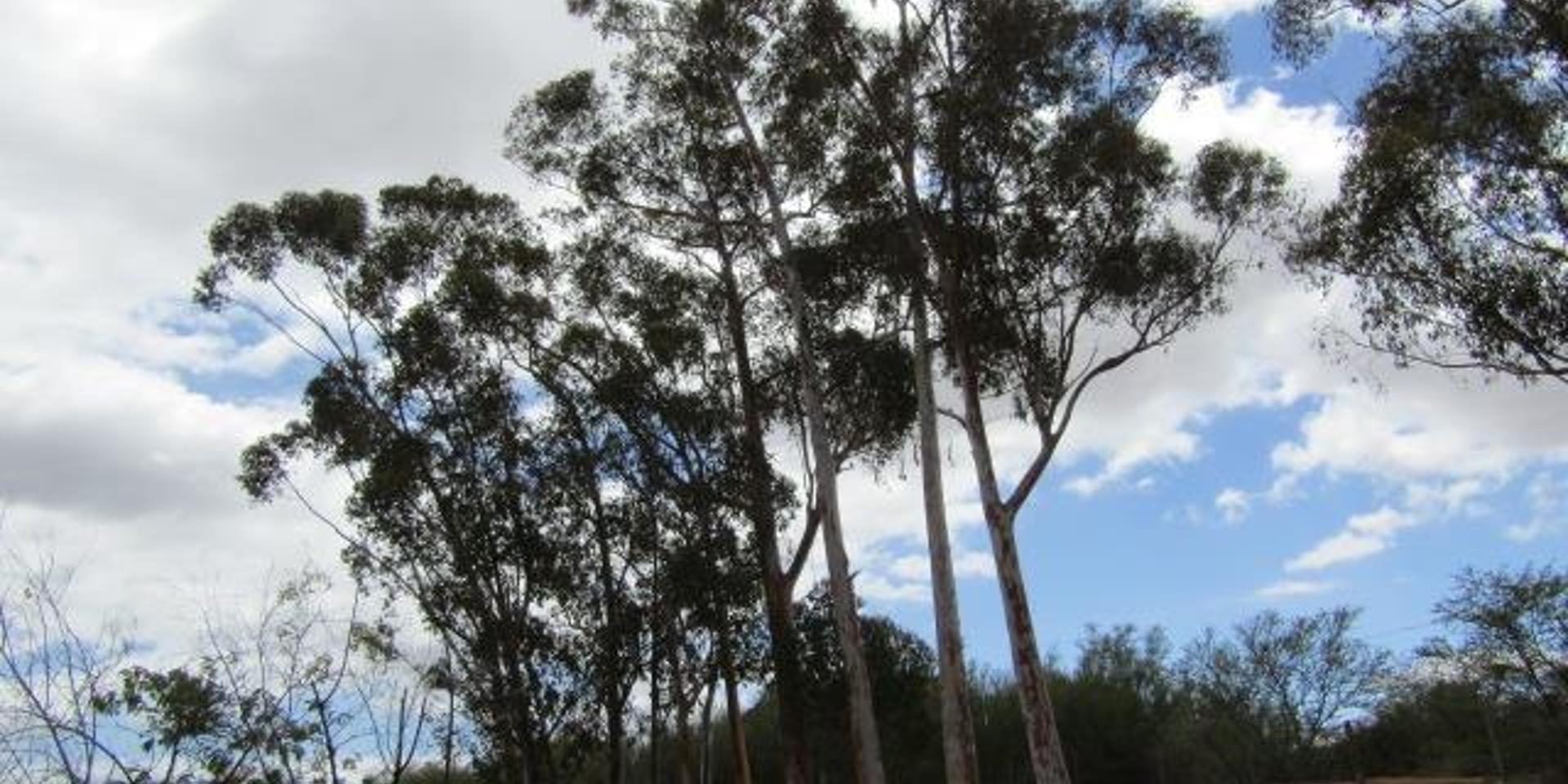 Image 2 of 6