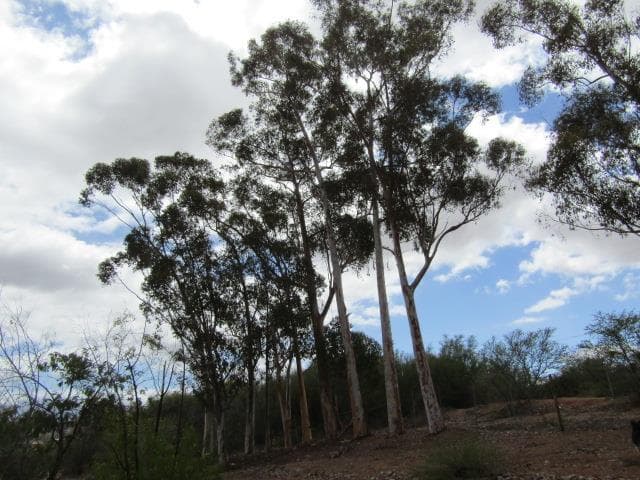 Image 2 of 6
