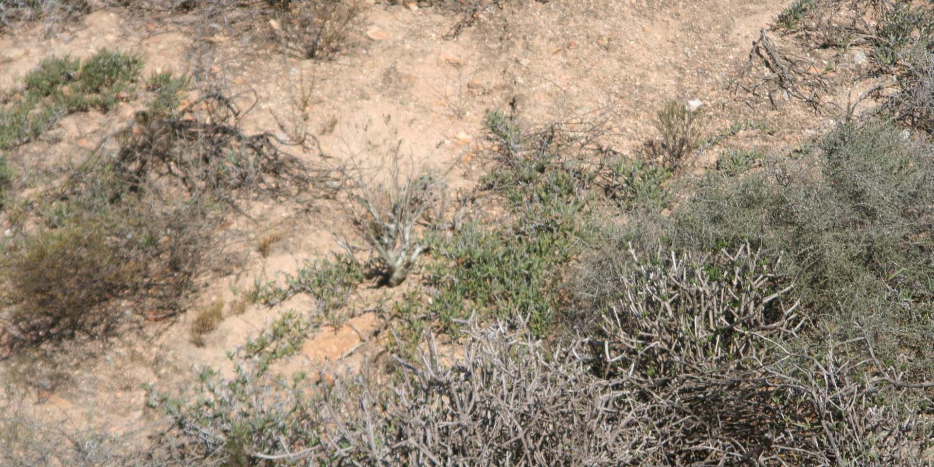 Image 5 of 6