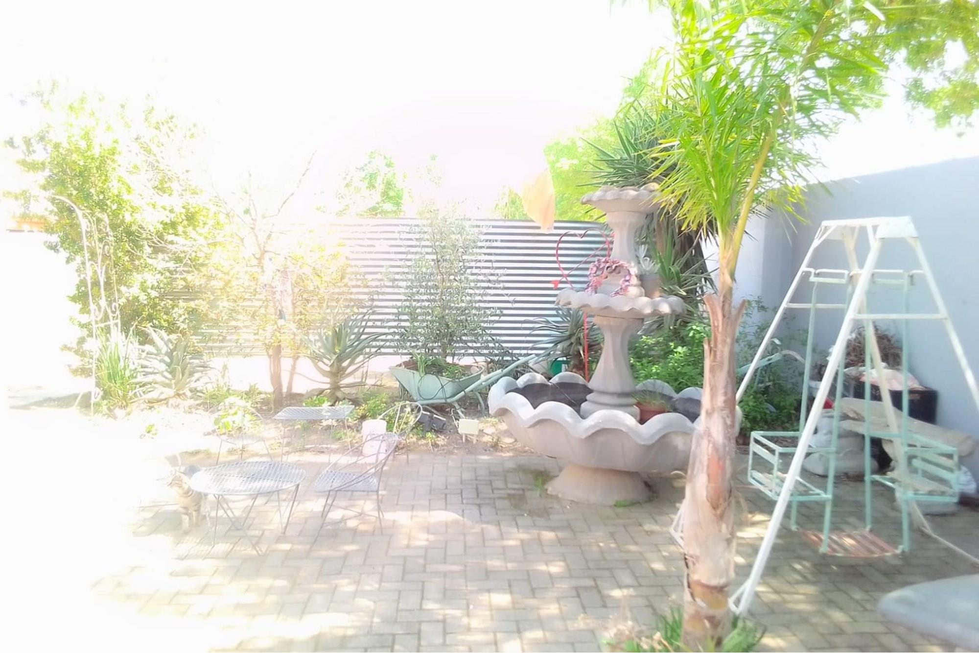 Image 21