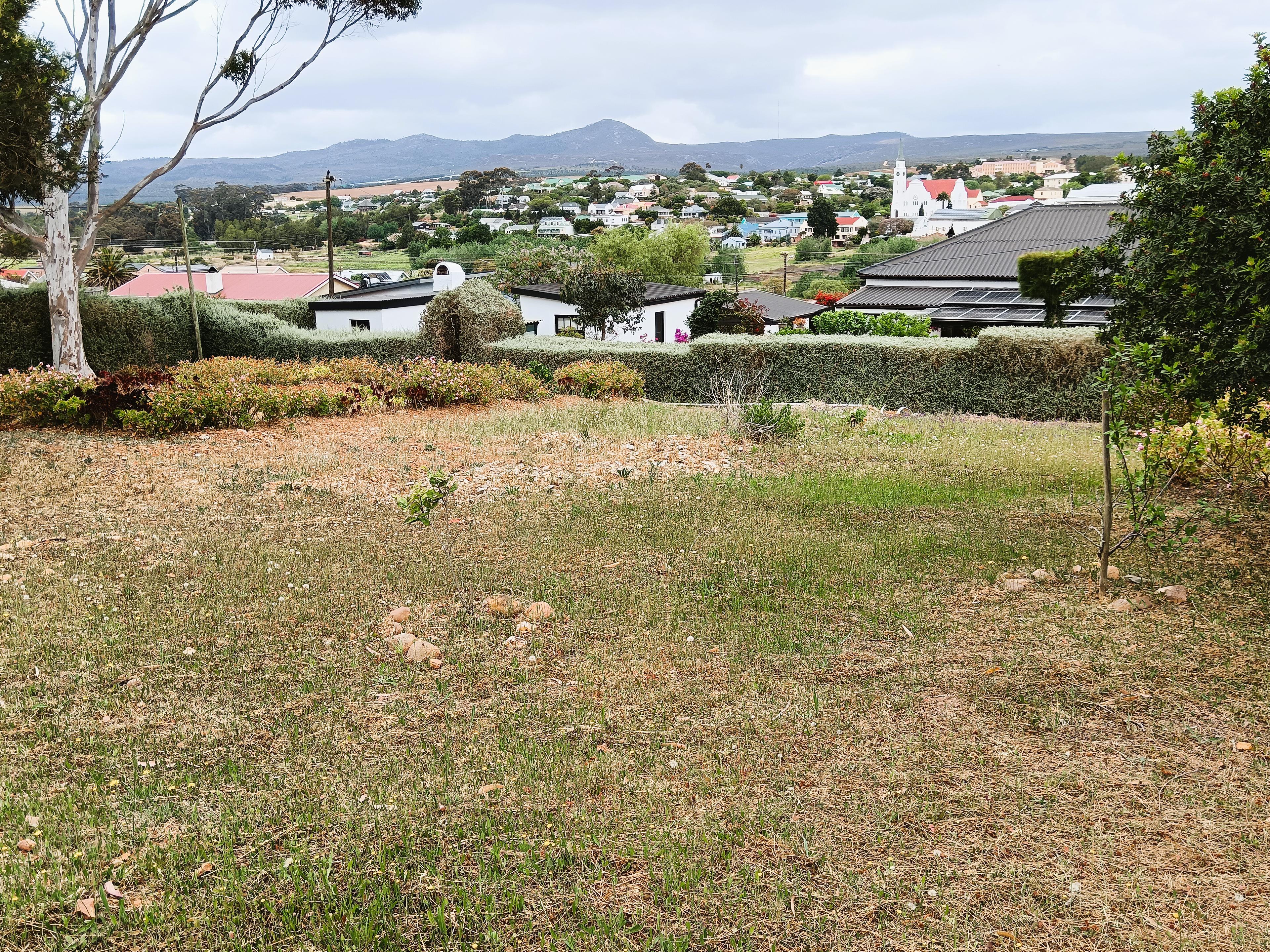 Image 13