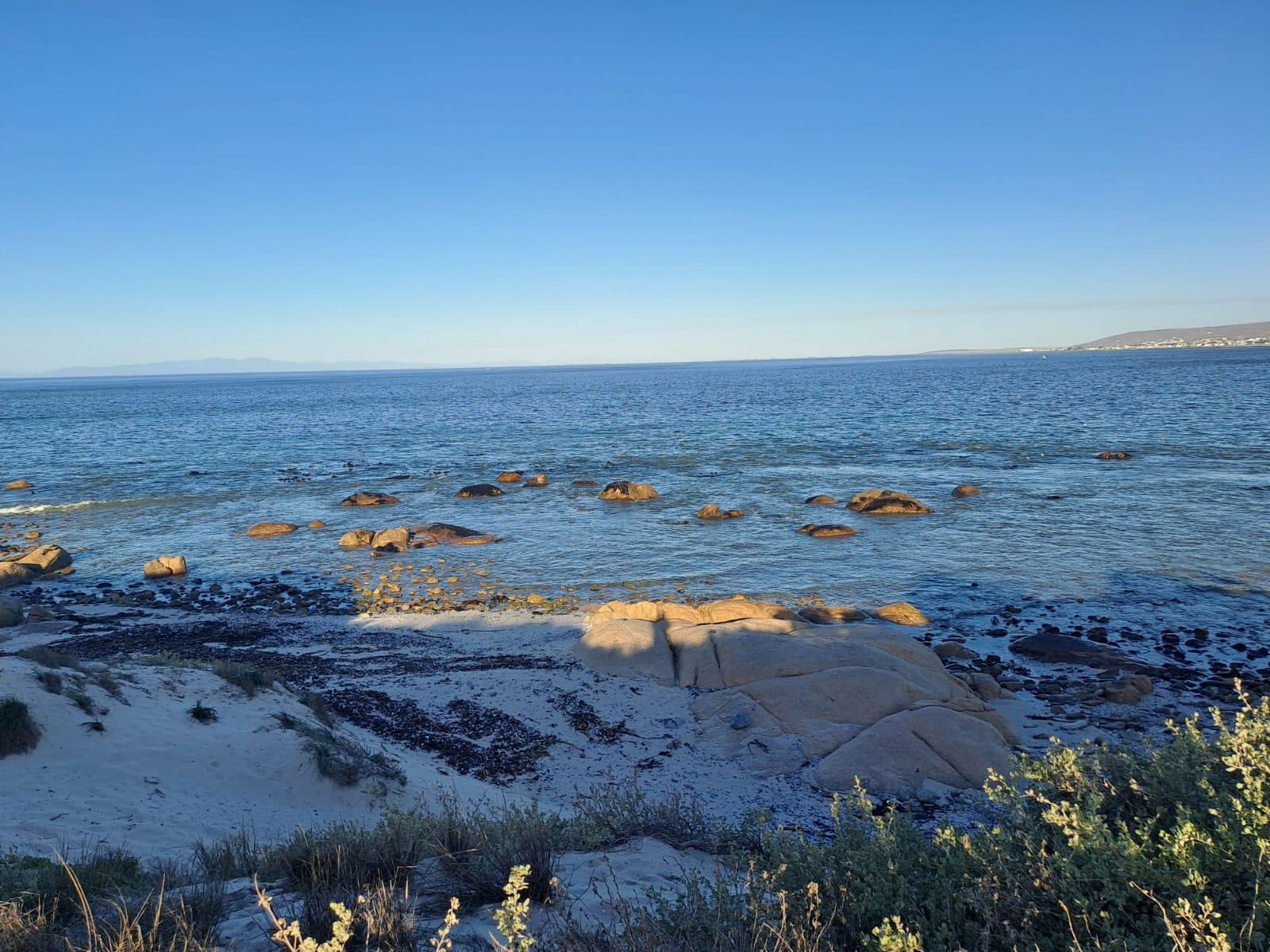 Image 5 of 6
