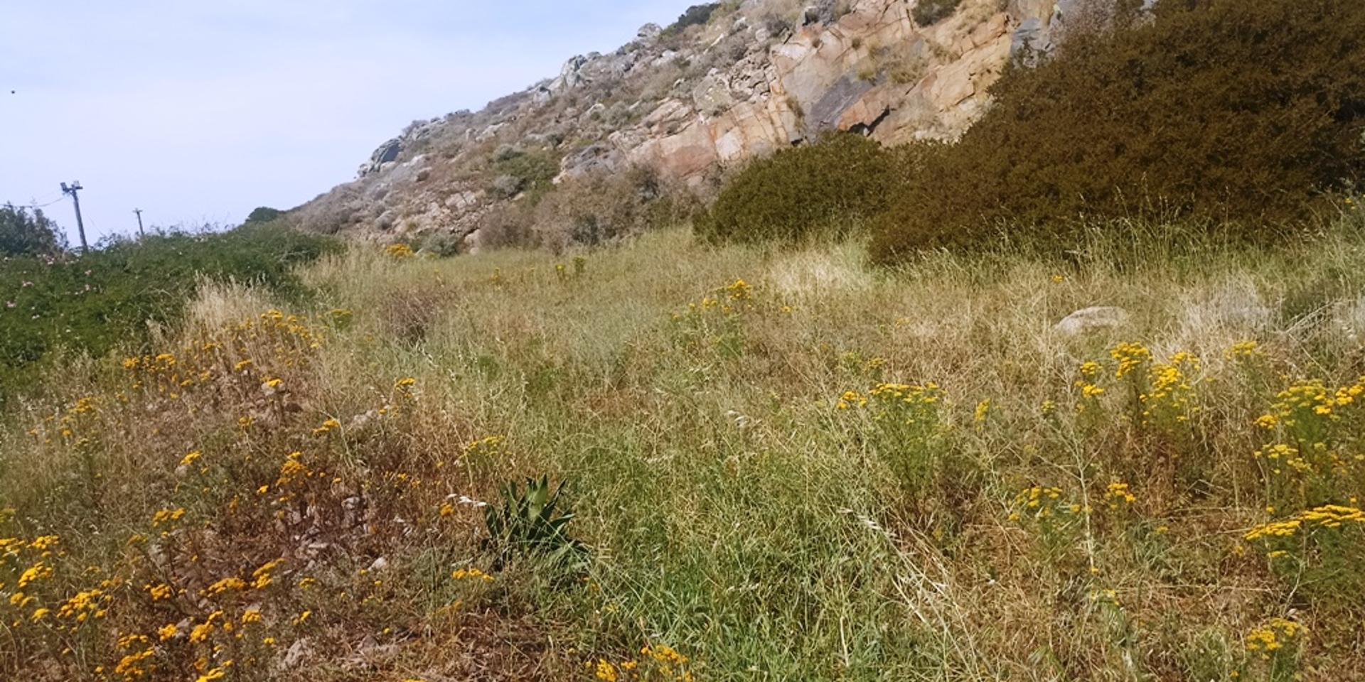 Image 2 of 6