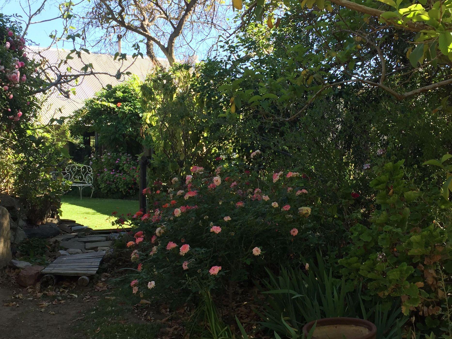Image 18